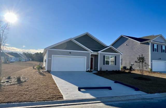 4072 Nelson Rd. - 4072 Nelson Road, Little River, SC 29566