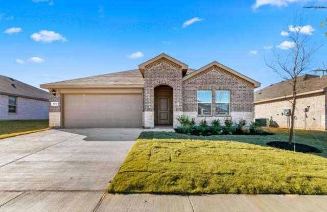 133 Caraway Ct. - 133 Caraway Court, Azle, TX 76020