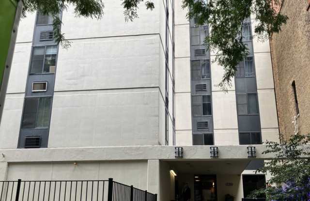 1339 N Dearborn Street unit: 4H photos photos