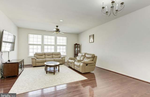 42645 WINTER WIND Terrace Gallery 3