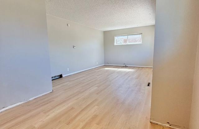 Remodeled Park Hill 2-Bedroom with New Floors & Countertops Near City Park + Transit | Available Now! photos photos Remodeled Park Hill 2-Bedroom with New Floors & Countertops Near City Park + Transit | Available Now! photos photos