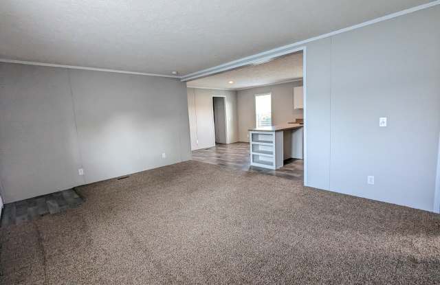 153 Beech Gallery 3