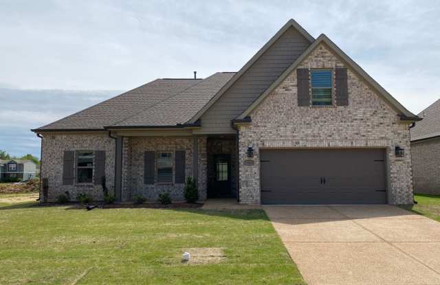 Welcome to 10003 Messana Cv, a beautiful 3-bedroom, 2-bathroom home located in Cordova, TN. photos photos
