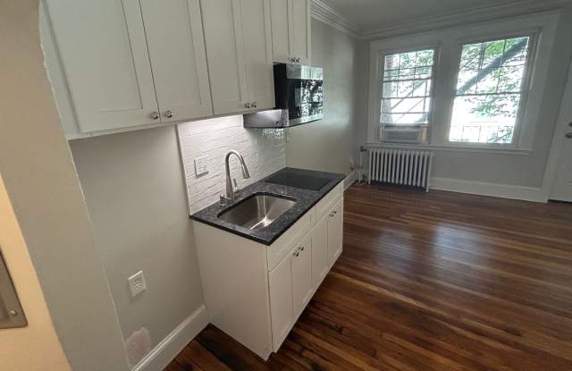 Newly renovated studio in a prime location along the Green Line in Brighton. photos photos