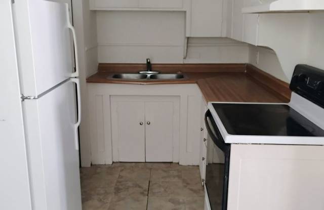 921 Mimosa photos photos