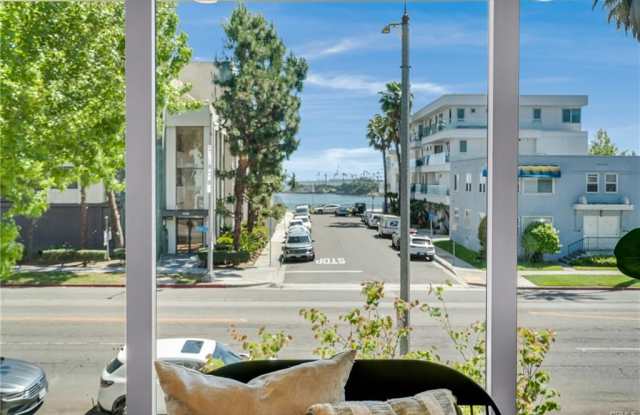 1123 E Ocean Blvd photos photos