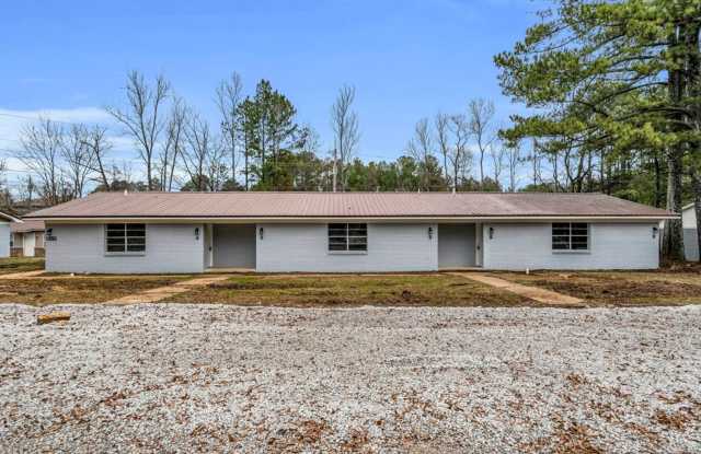 Recently Renovated 2 Bedroom 1 Bath Apartments for Rent! Gallery 1