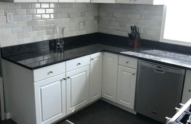 Updated Home in Radnor Township- Walking Distance to Train and Parks Gallery 3