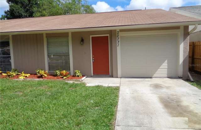 22771 PENNY LOOP - 22771 Penny Loop, Land O' Lakes, FL 34639