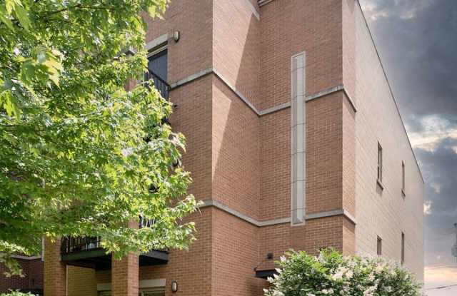 1153 West Washburne Avenue - 1153 West Washburne Avenue, Chicago, IL 60608