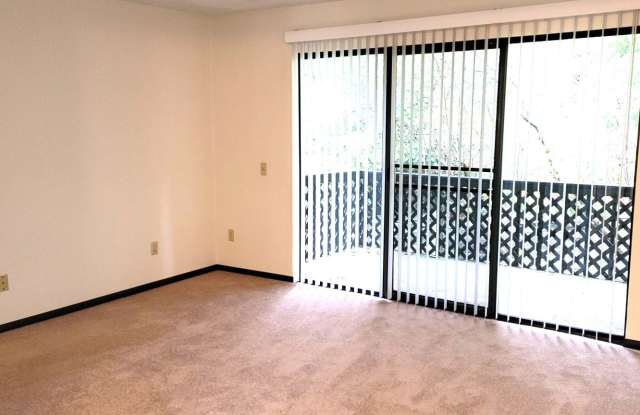 Lynnwood Charming 1 BD / 1 BA Condo Gallery 3