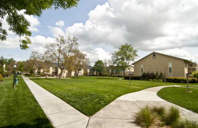 Live Oak photos photos