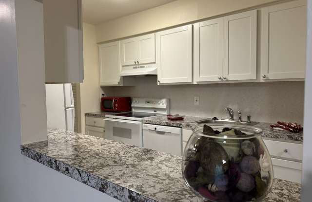 703 Camelback Court Gallery 4
