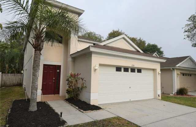 1725 HORSECHESTNUT COURT - 1725 Horsechestnut Court, Trinity, FL 34655