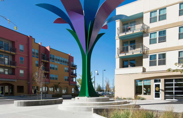 Mariposa Properties Gallery 1