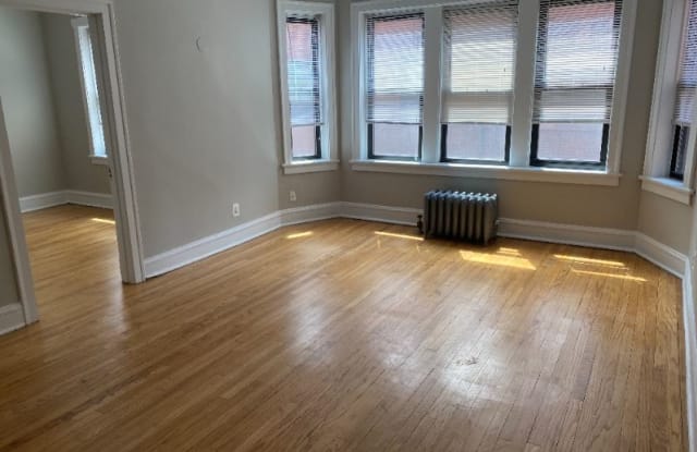 529 W Aldine 1S - 529 W Aldine Ave, Chicago, IL 60657