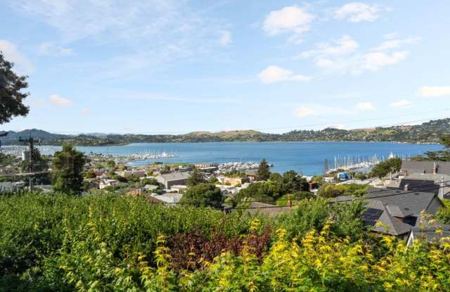 Sun-Filled Furnished Sausalito Home with Sweeping Bay Views photos photos
