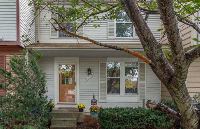 2619 NEMO COURT Gallery 2