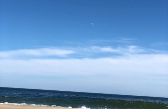 1201 Ocean Avenue - 1201 East Ocean Avenue, Sea Bright, NJ 07760