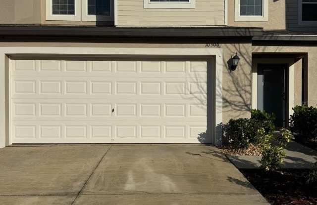10308 LAVENDER ASTER Trail Gallery 2