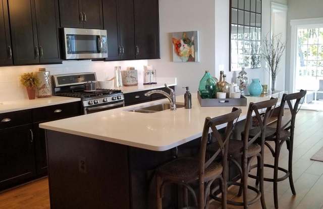 10553 BLAZING STAR LOOP Gallery 3