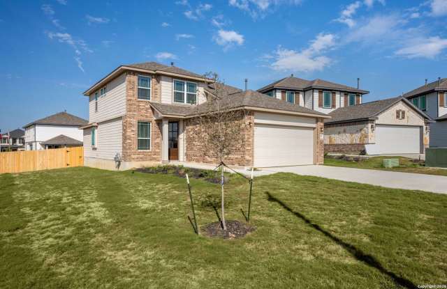 8803 Lemon Verbena photos photos 8803 Lemon Verbena photos photos