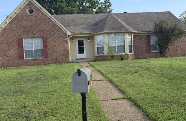 7155 COFFEEVILLE Cv Gallery 2