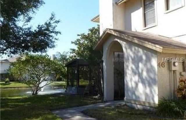 46 EMERALD BAY DRIVE - 46 Emerald Bay Drive, Oldsmar, FL 34677