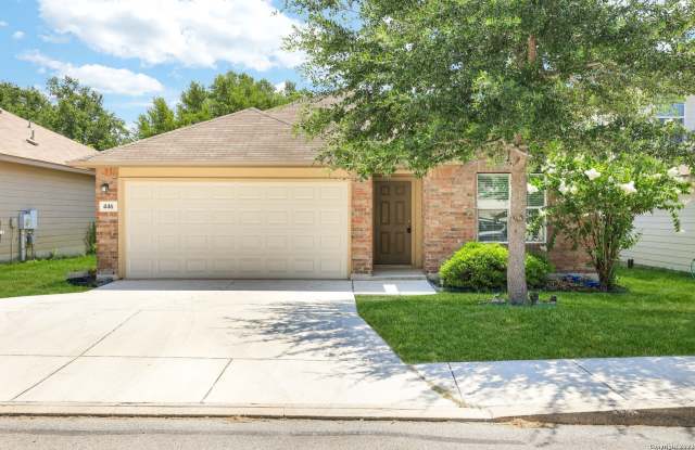 446 Eastern Phoebe photos photos 446 Eastern Phoebe photos photos