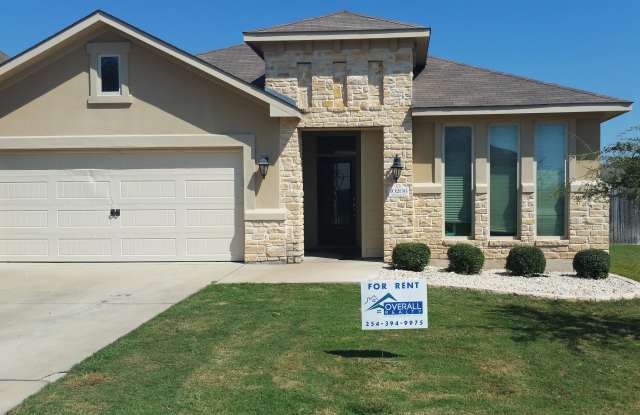 10206 Alamosa Lane photos photos