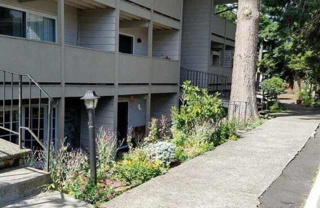 Rochelle Apartments photos photos