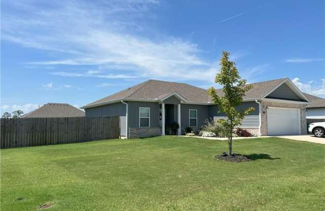 307  N Wyandotte  ST - 307 N Wyandotte St, Farmington, AR 72730