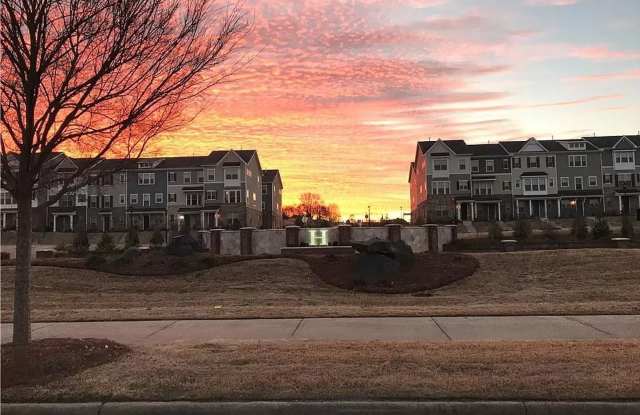 Room in 3 Bedroom Townhome at Ainslie Downs St Gallery 4