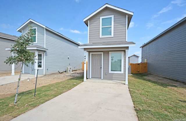 4974 Daisy Blossom Gallery 1
