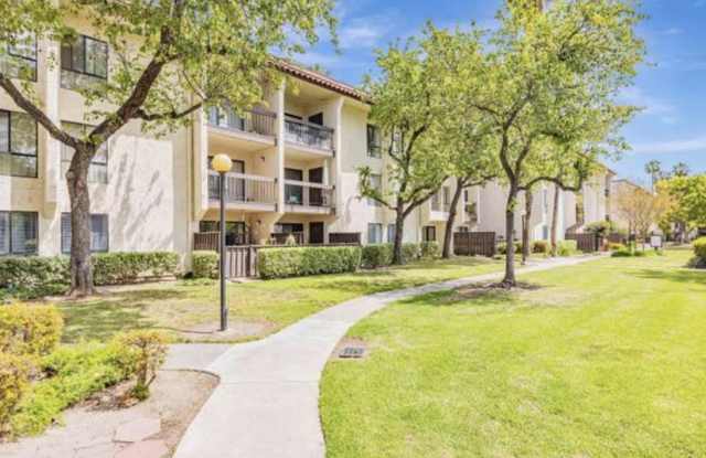 39821 Cedar Blvd Unit 203 Gallery 1