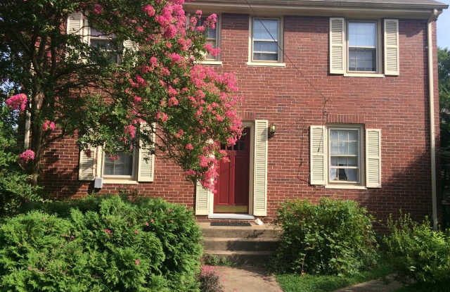 515 PITT Street unit: 3 - 515 Pitt Street, Fredericksburg, VA 22401