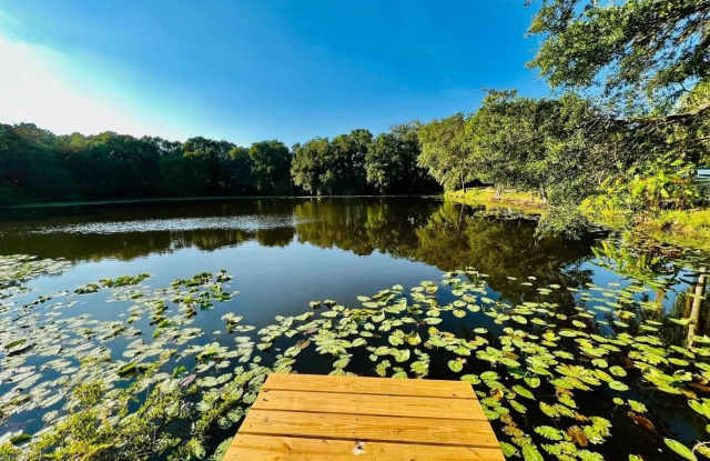 1610 PALM LEAF Drive Gallery 2