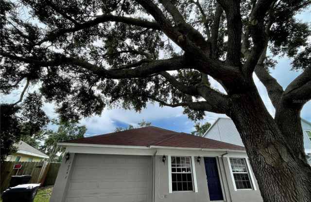10241 ALLENWOOD DRIVE - 10241 Allenwood Drive, Riverview, FL 33569