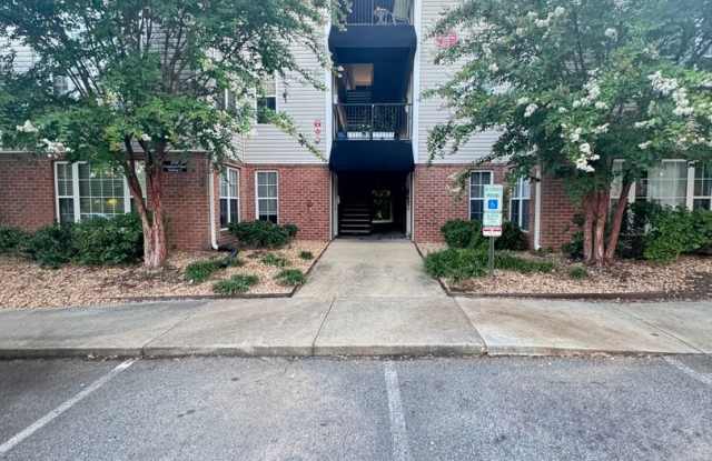 Avera - Ascot Gallery 4