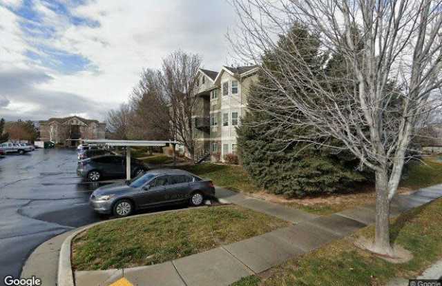 1446 Brunello Drive photos photos