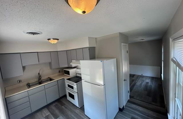 103 East Sangamon Street - 4 photos photos