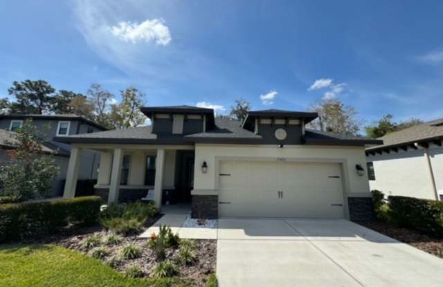 Must See! Amazing 3 bed 2 bath single family in New Port Richey photos photos