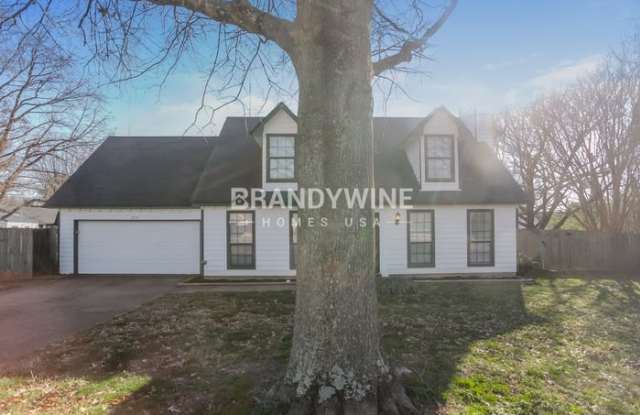 7215 Grapevine Cove photos photos