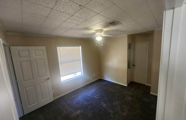 113 Tamarisk Street photos photos