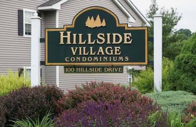 100 Hillside Drive - 100 Hillside Drive, Orange County, NY 10941