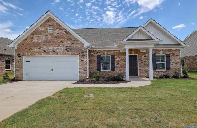 13918 Hickory Brook Drive - 13918 Hickory Brook Road, Athens, AL 35611