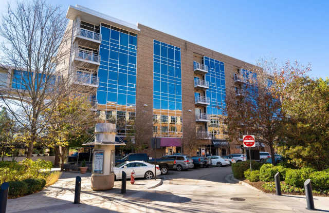 Light filled 1 bed/ 1 bath condo with balcony minutes to downtown Chapel Hill photos photos