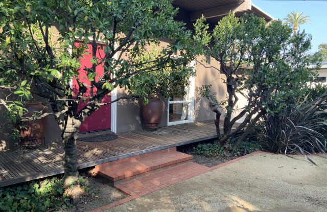 473 Palmetto Drive Gallery 3