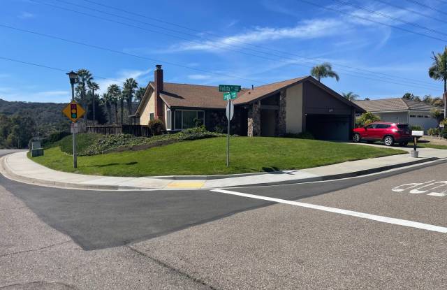 La Costa Charmer with Large Backyard! photos photos