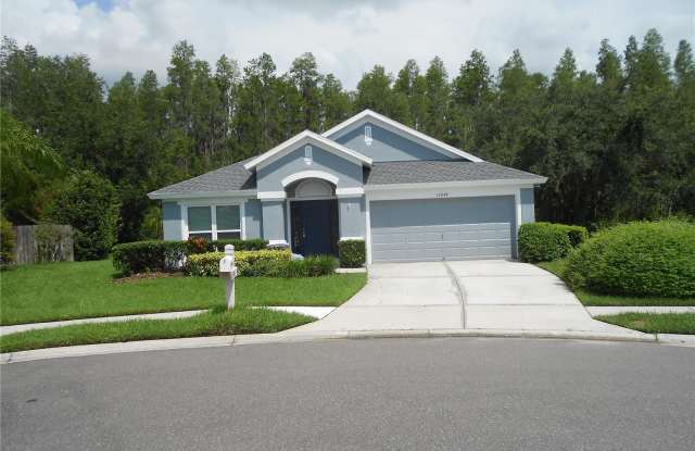 30848 SAINT VINCENT COURT - 30848 Saint Vincent Court, Wesley Chapel, FL 33543